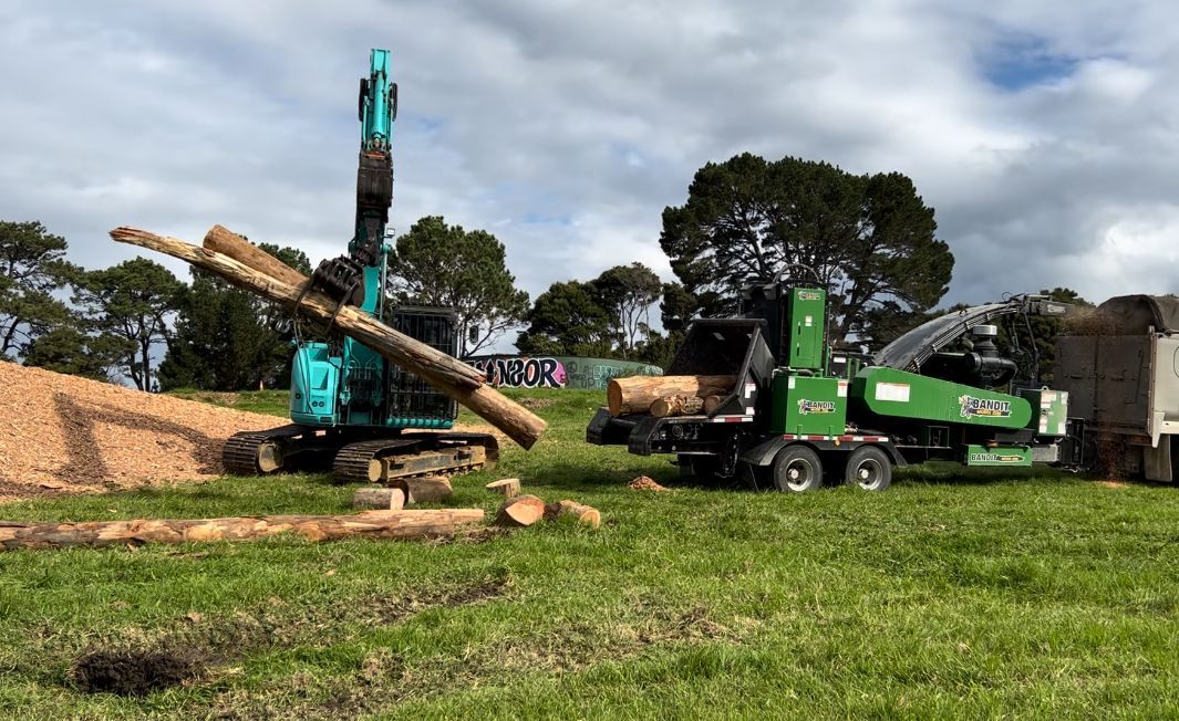 a large pile of logs is being loaded onto a truck in a field .