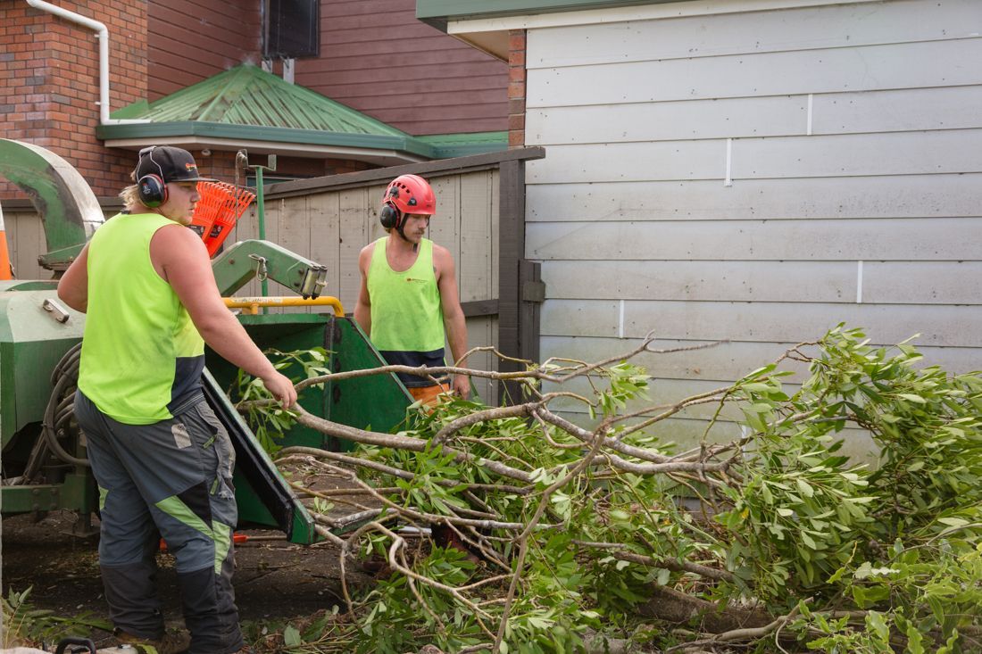 two men are cutting trees and making mulch