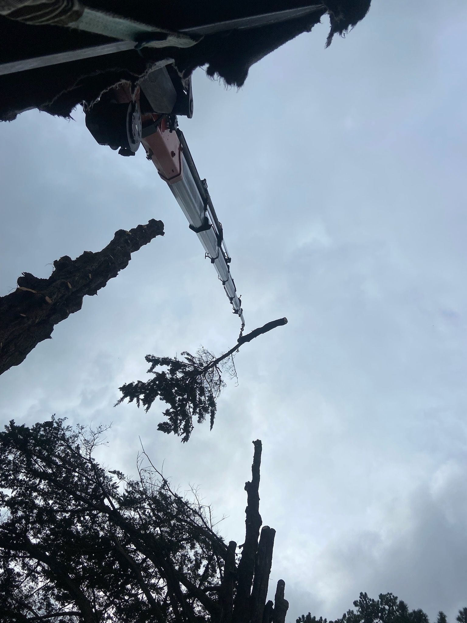 Crane and dizzy heights