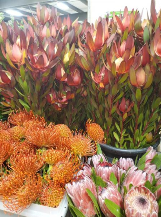 floral