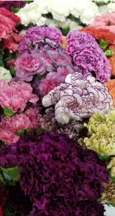 floral