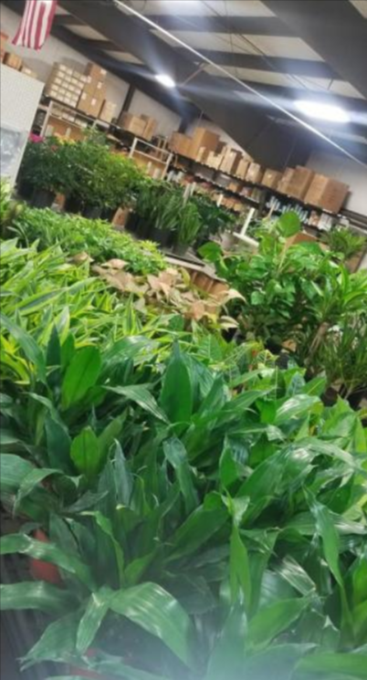 greenery
