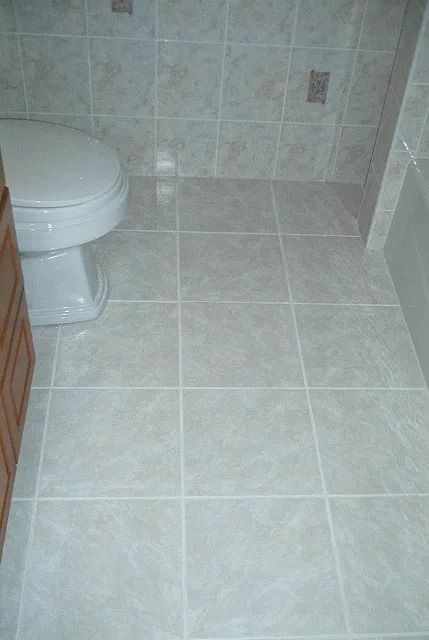 Tiled bathroom with a toilet on the left and an empty shower or floor area in front.