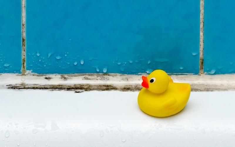 how-to-prevent-moulds-in-your-bathroom-during-the-summer-main-blog-banner