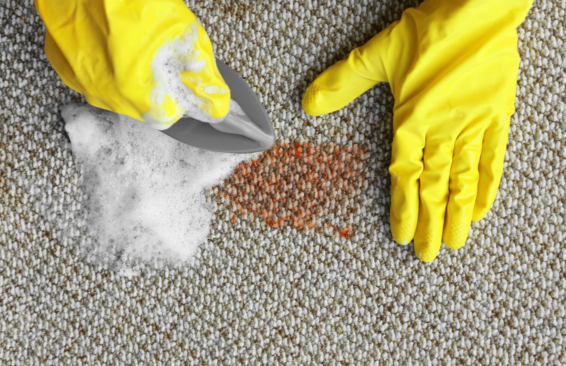 Carpet Stain Removal Experts