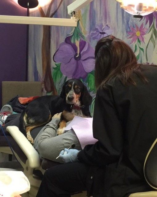 Family Dental Office Richmond, KY Mark Stephens, DMD