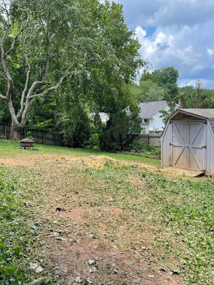 Backyard with a brown area of cleared debris, shed on the right, trees and a house in the background.
