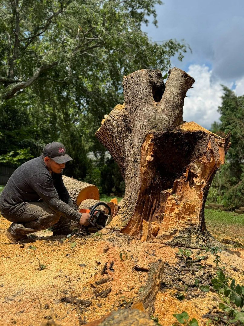 Man using a chainsaw to cut a tree stump in a yard, sawdust on the ground, trees in the background.