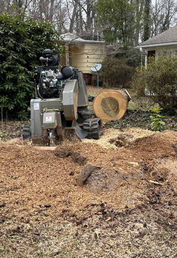 Red stump grinder grinding a tree stump in a yard next to a house.