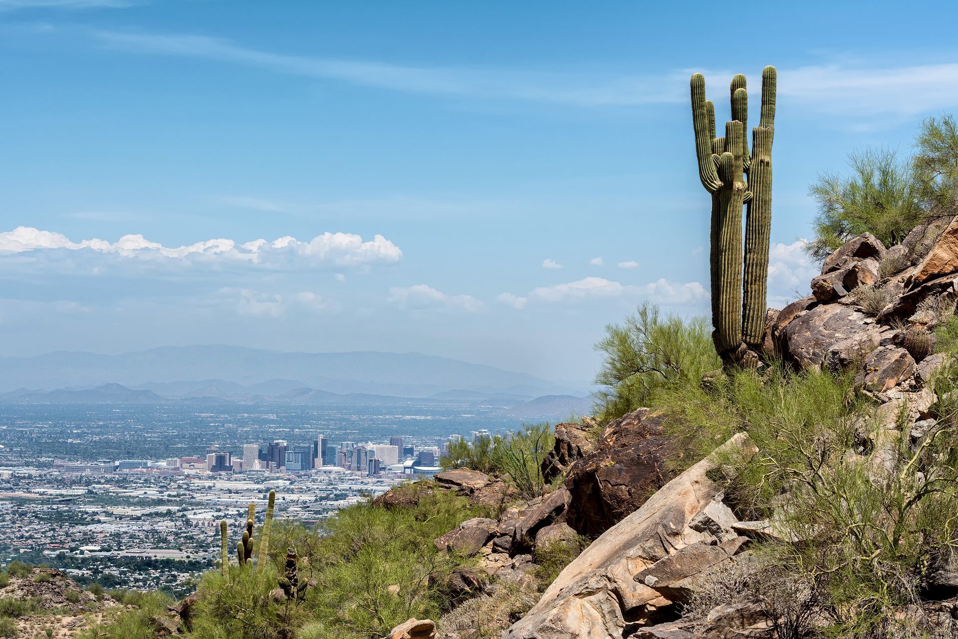 Desert hillside with a tall cactus overlooking a distant city skyline under a blue sky