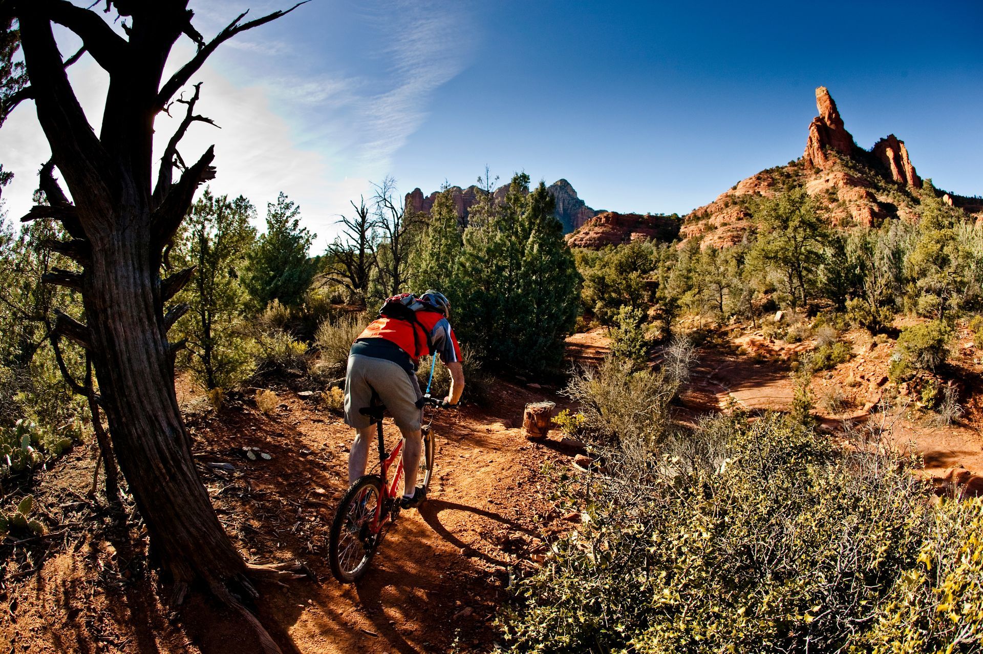 Mountain biker riding a dirt trail through a sunny forest with rocky red cliffs in the background
