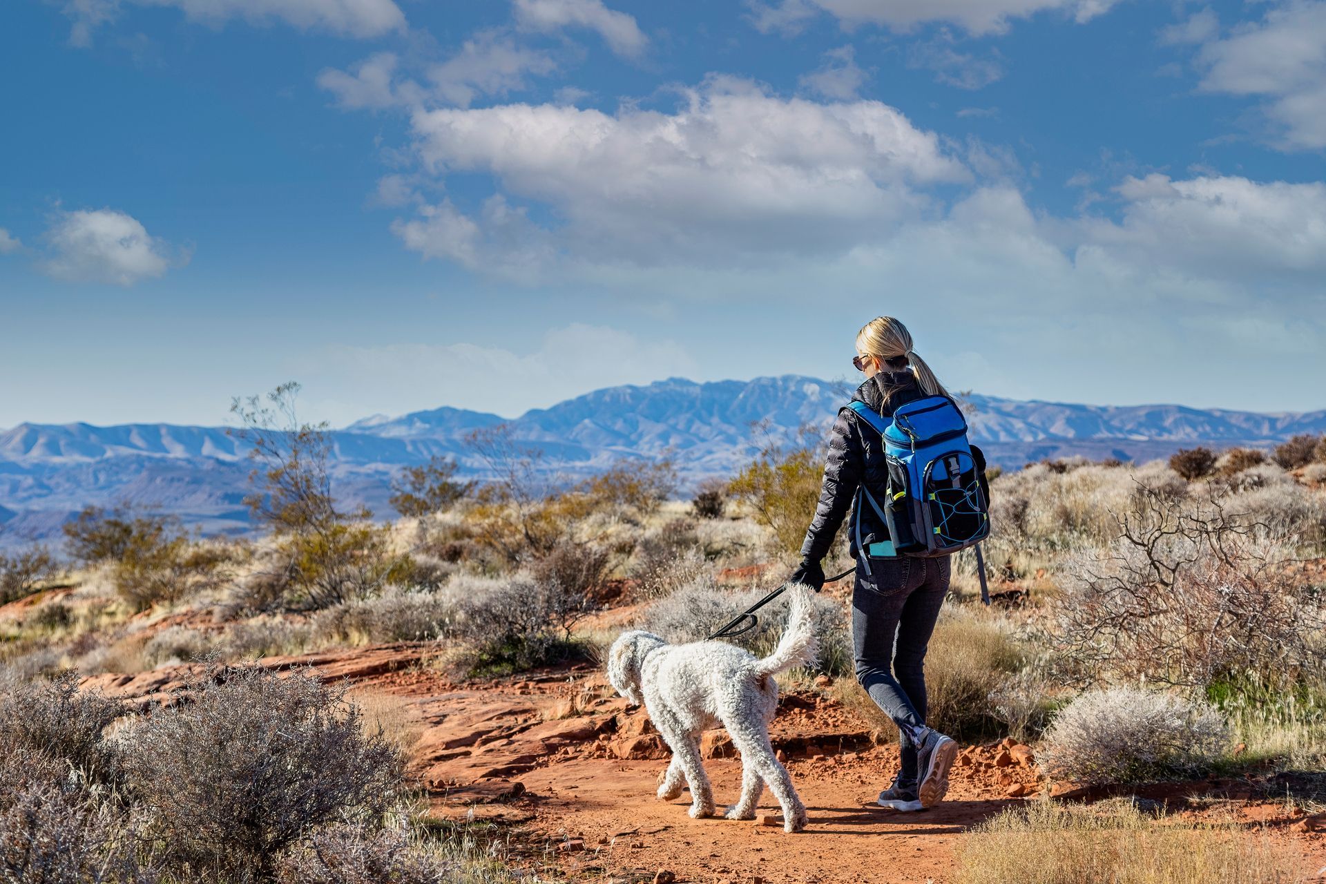 Hiker with backpack and dog on a desert trail, with mountains and blue sky in the background