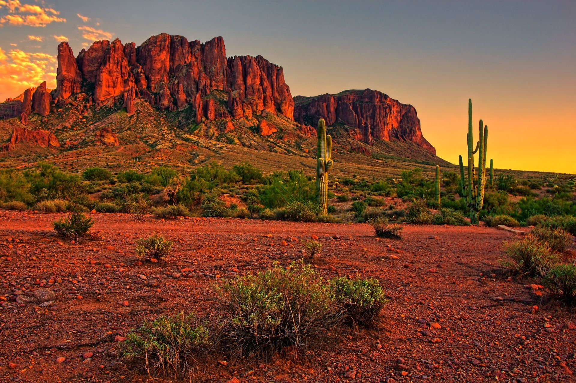 Desert landscape with red rock cliffs at sunset and sparse cacti in the foreground
