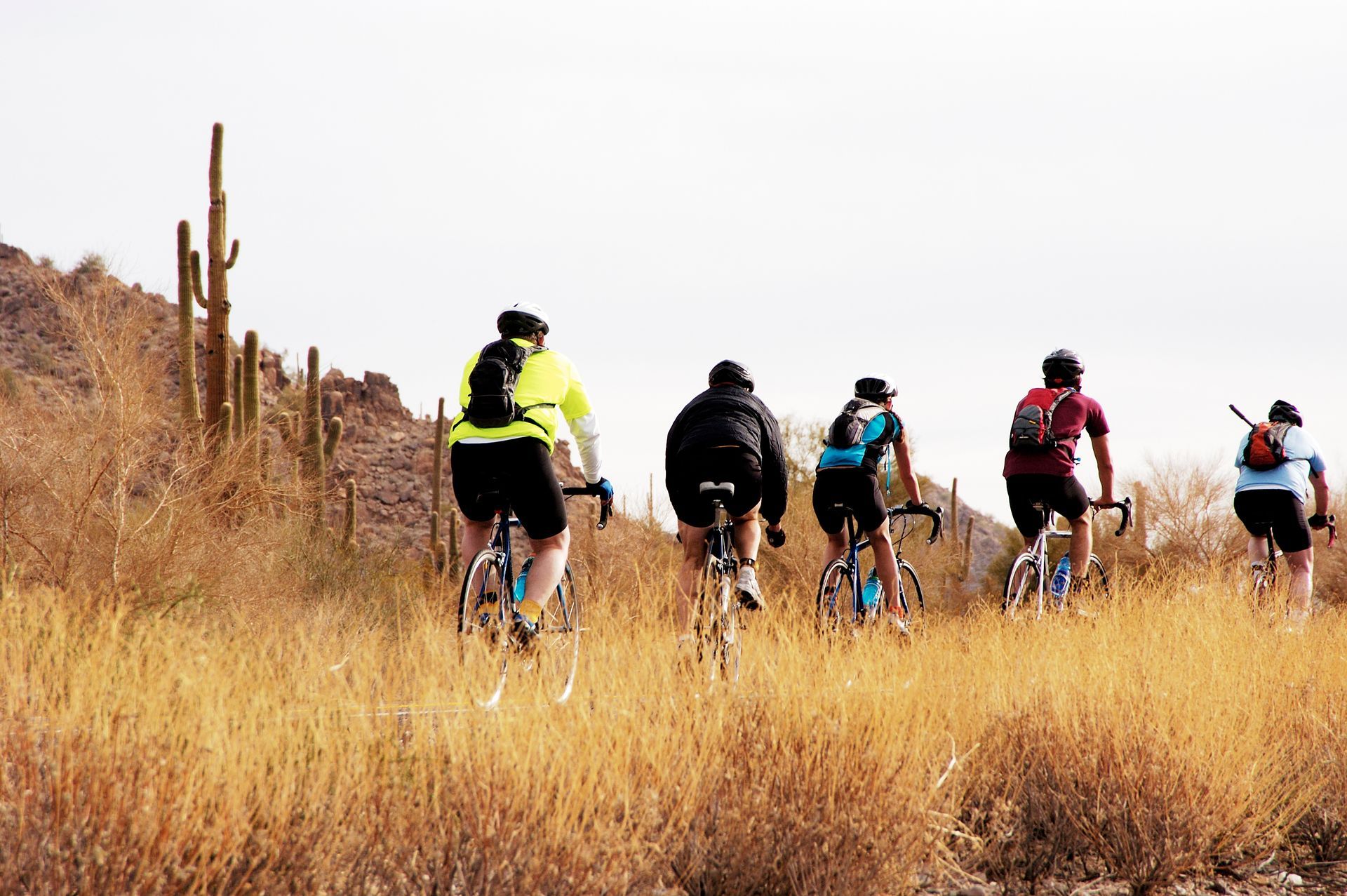 Cyclists riding through dry grassland on a trail, with tall cacti in the background