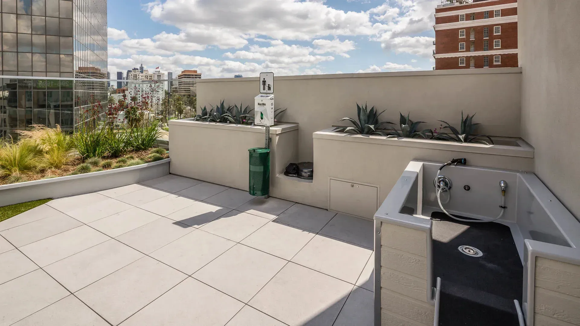 Rooftop dog spa with grooming station and city views.