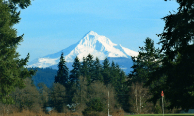 picture taken in brush prairie, wa of mount st. helens	