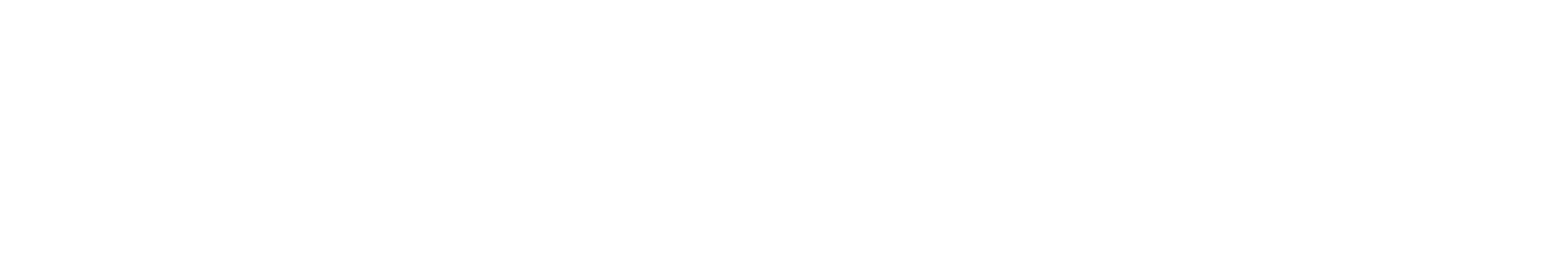 FOW: Road Biking in Wompatuck