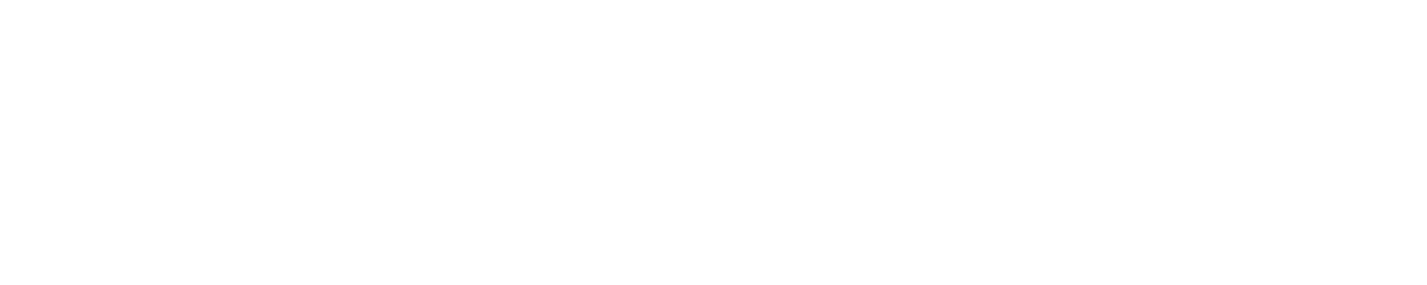 FOW: Trail Running in Wompatuck