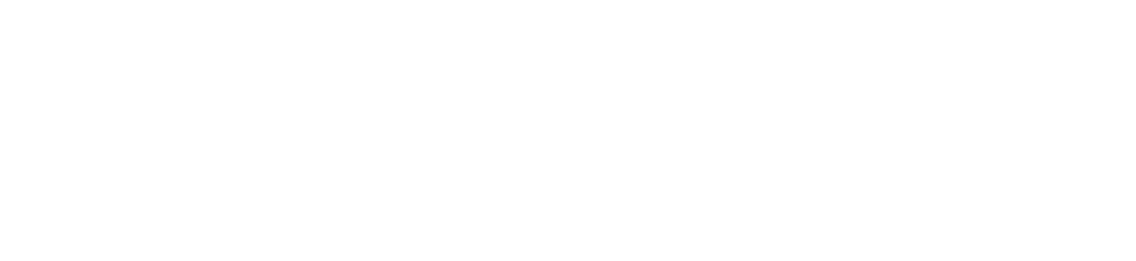 FOW: Organization & By-Laws