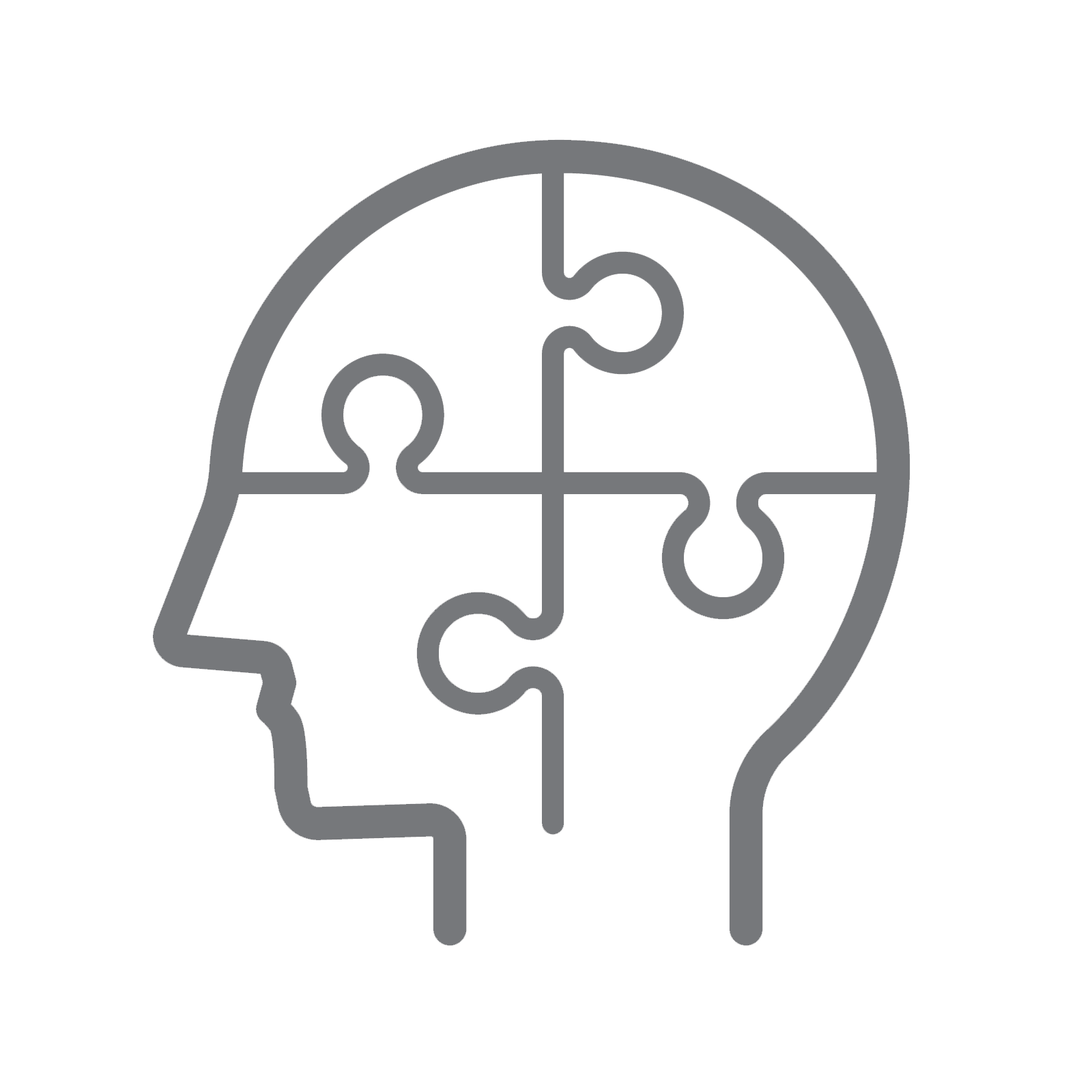 mind puzzle icon