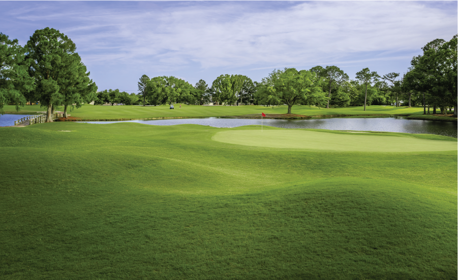 Winter Golf Package Header