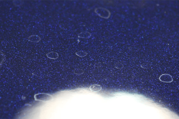 Hard Water Spots | Metropolitan Detail