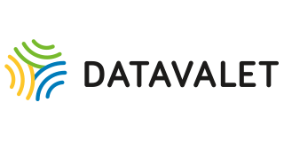 Logo for Datavalet: a stylized sphere made of colorful curved lines, with