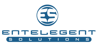 Logo for Entelegent Solutions: blue, stylized