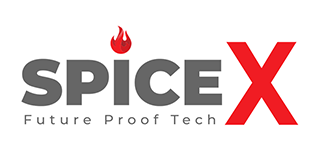 Logo for Spice X: gray