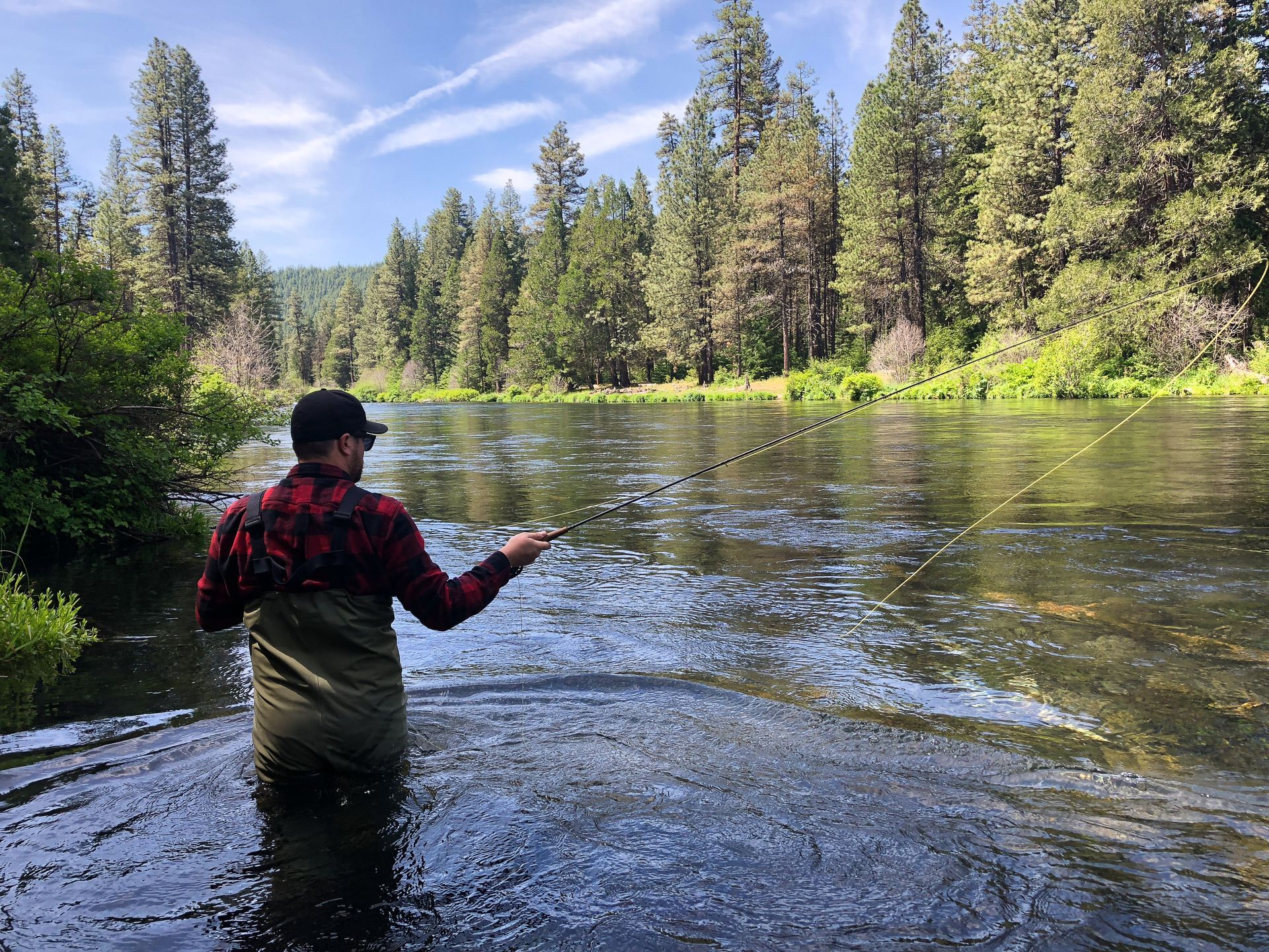Person fly fishing in a river surrounded by evergreen trees under a clear sky