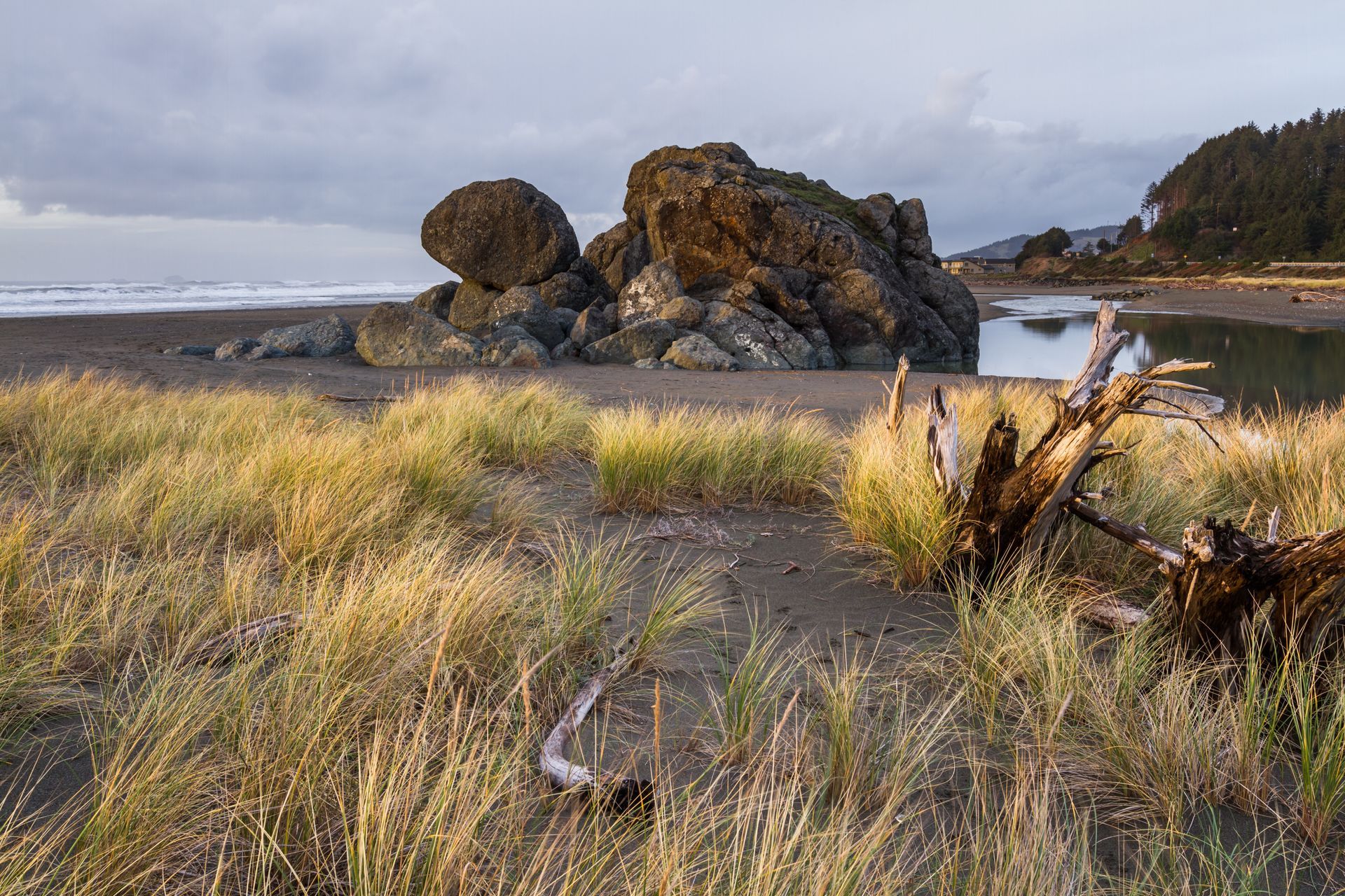Rocky coastal beach with tall grass, driftwood, and large boulders under a cloudy sky