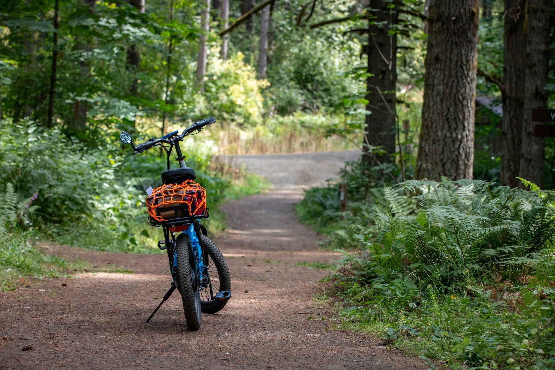 Mountain bike with orange bags parked on a forest trail near a winding path