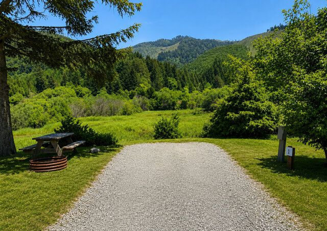 Gravel path leading to a green meadow and forested hills under a bright blue sky