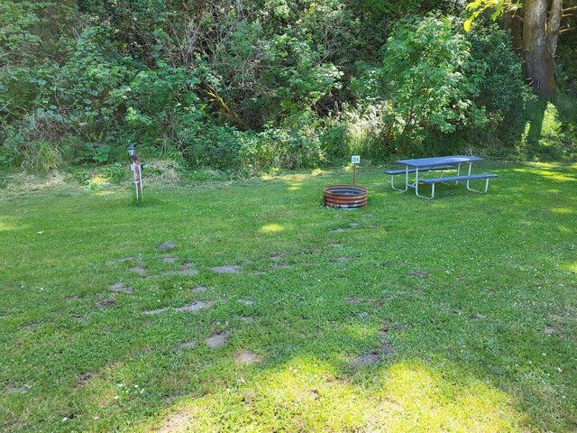 Sunny grassy clearing with picnic table, fire ring, and wooded background