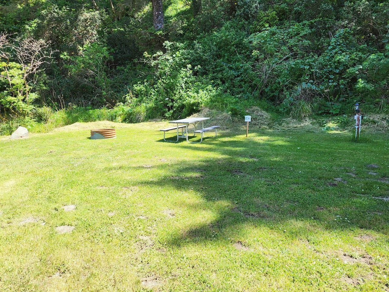 Sunny grassy clearing with picnic table, fire ring, and wooded background