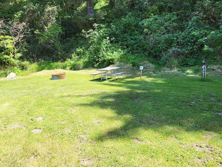 Sunny grassy clearing with picnic table, fire ring, and wooded background