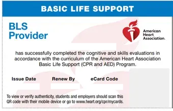 basic life support has successfully completed the cognitive and skills evaluations in accordance with the curriculum of the american heart association
