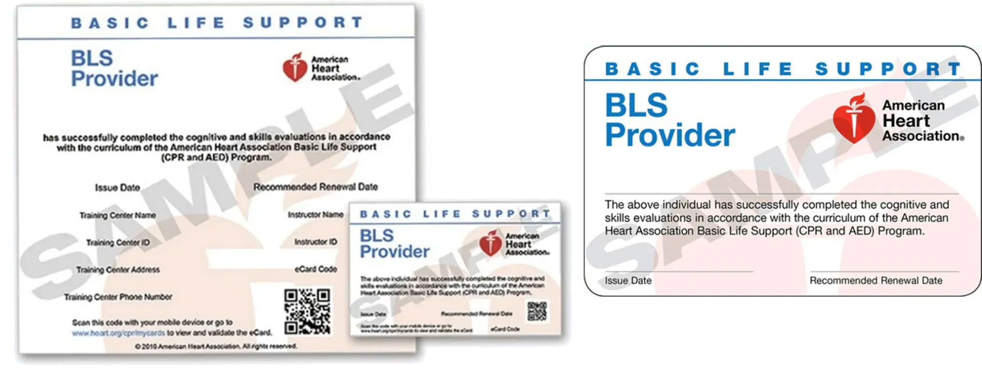 a basic life support bls provider card is shown