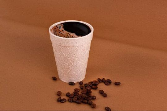 REYMA -desechables con material biodegradable