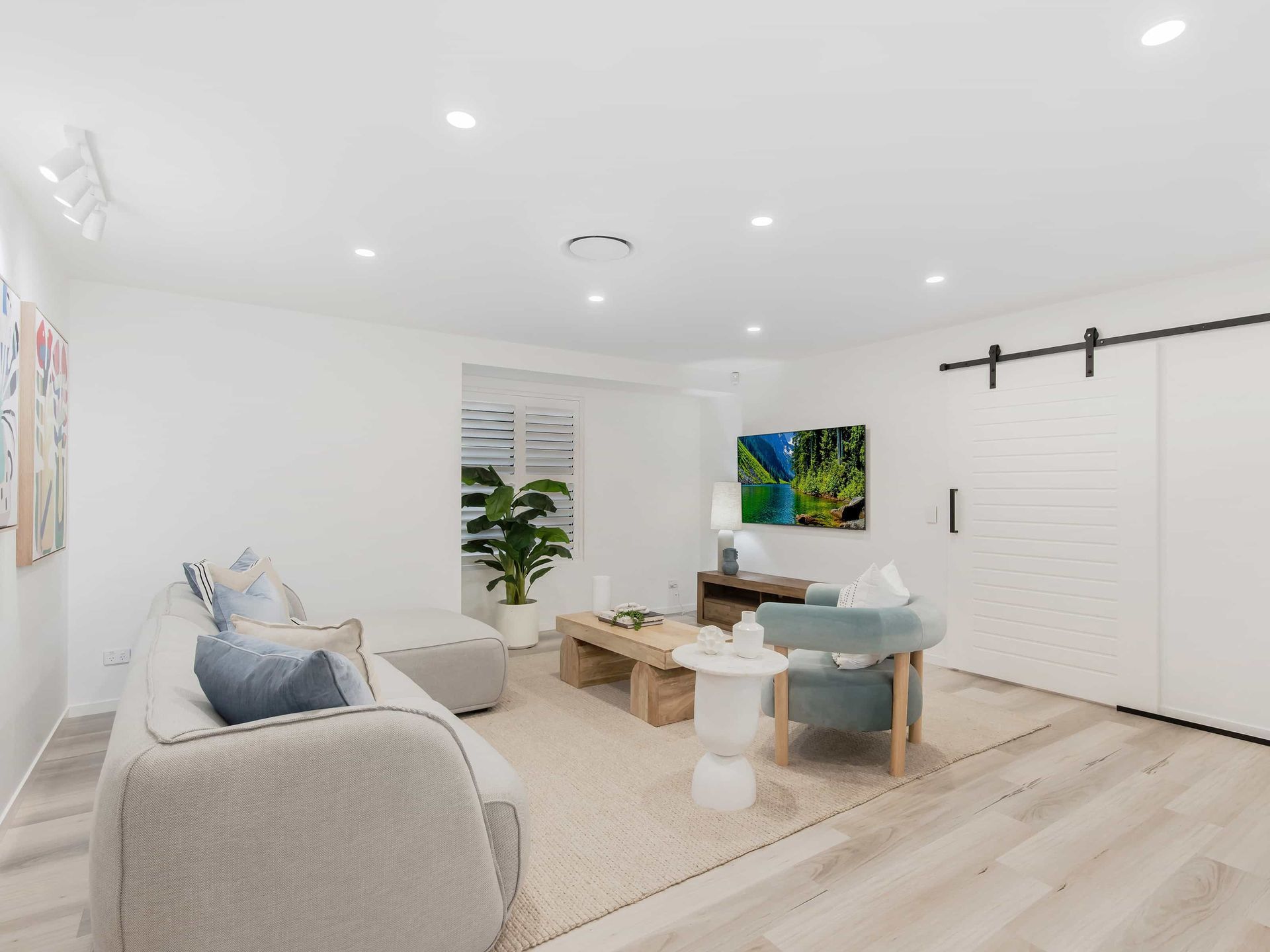 White living room with light wood floors, rug, sofa, armchair, TV, barn door, and a large plant.