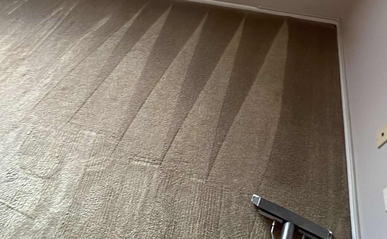 Floor care and cleaning services with washing machine.