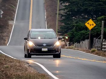 A black car is driving down a curvy road.