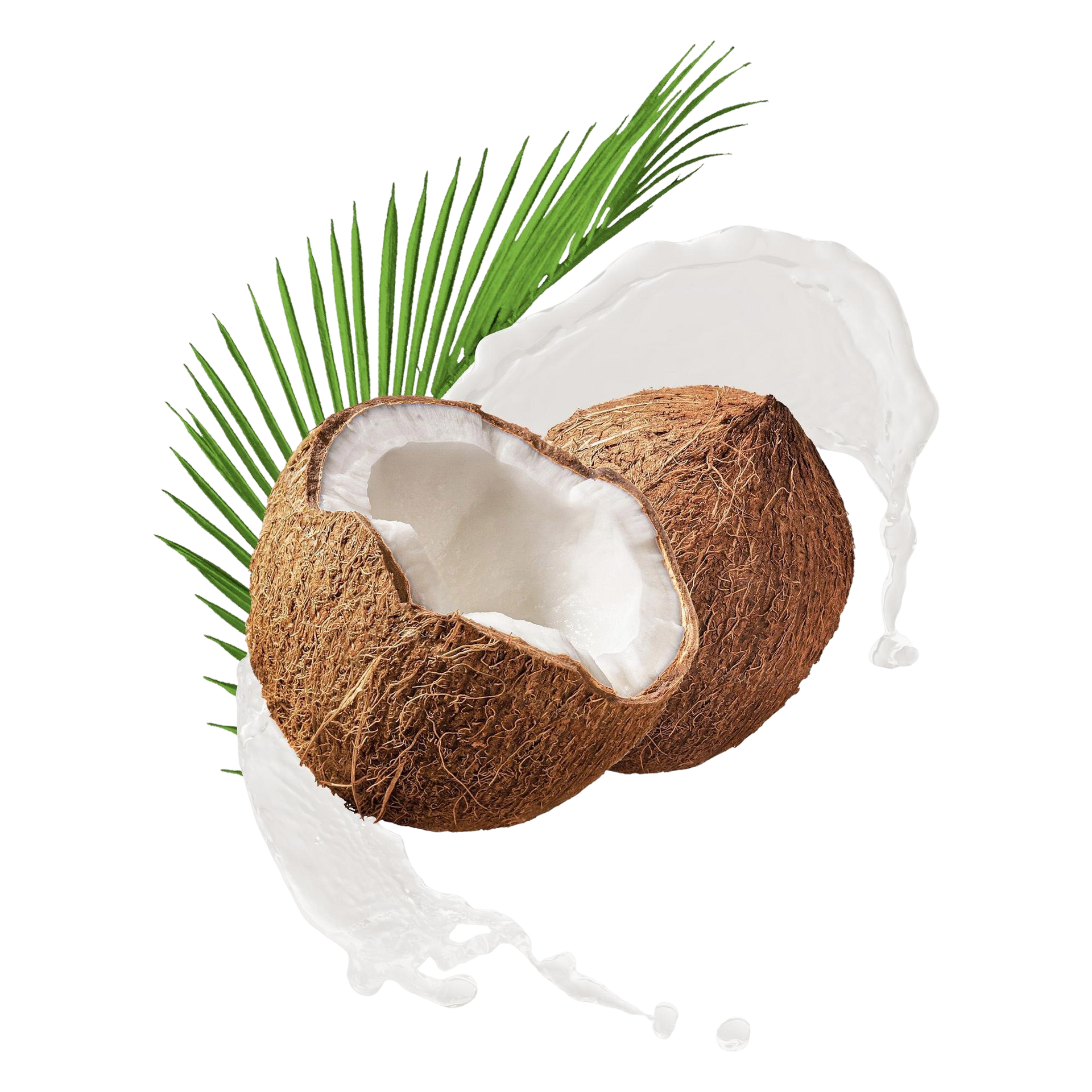 Coco