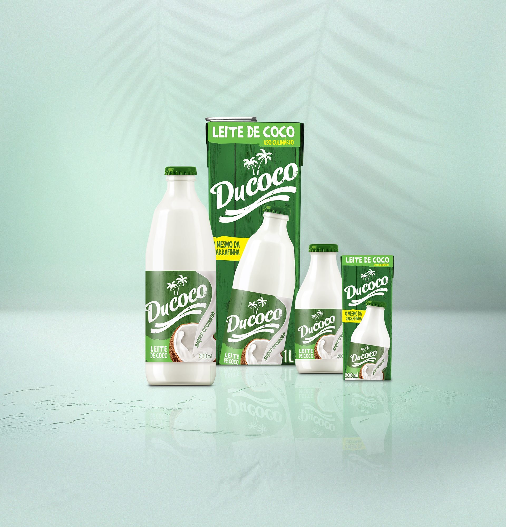 Embalagem  Leite de coco 