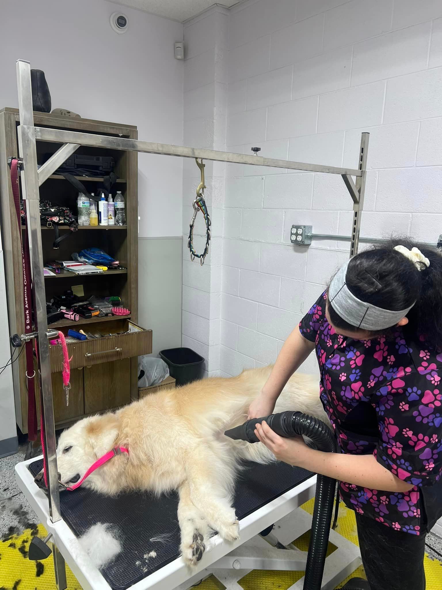 Dog grooming
