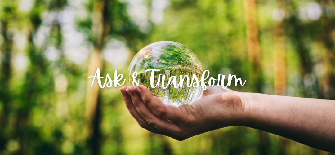 a hand holding a crystal ball in a green nature scene