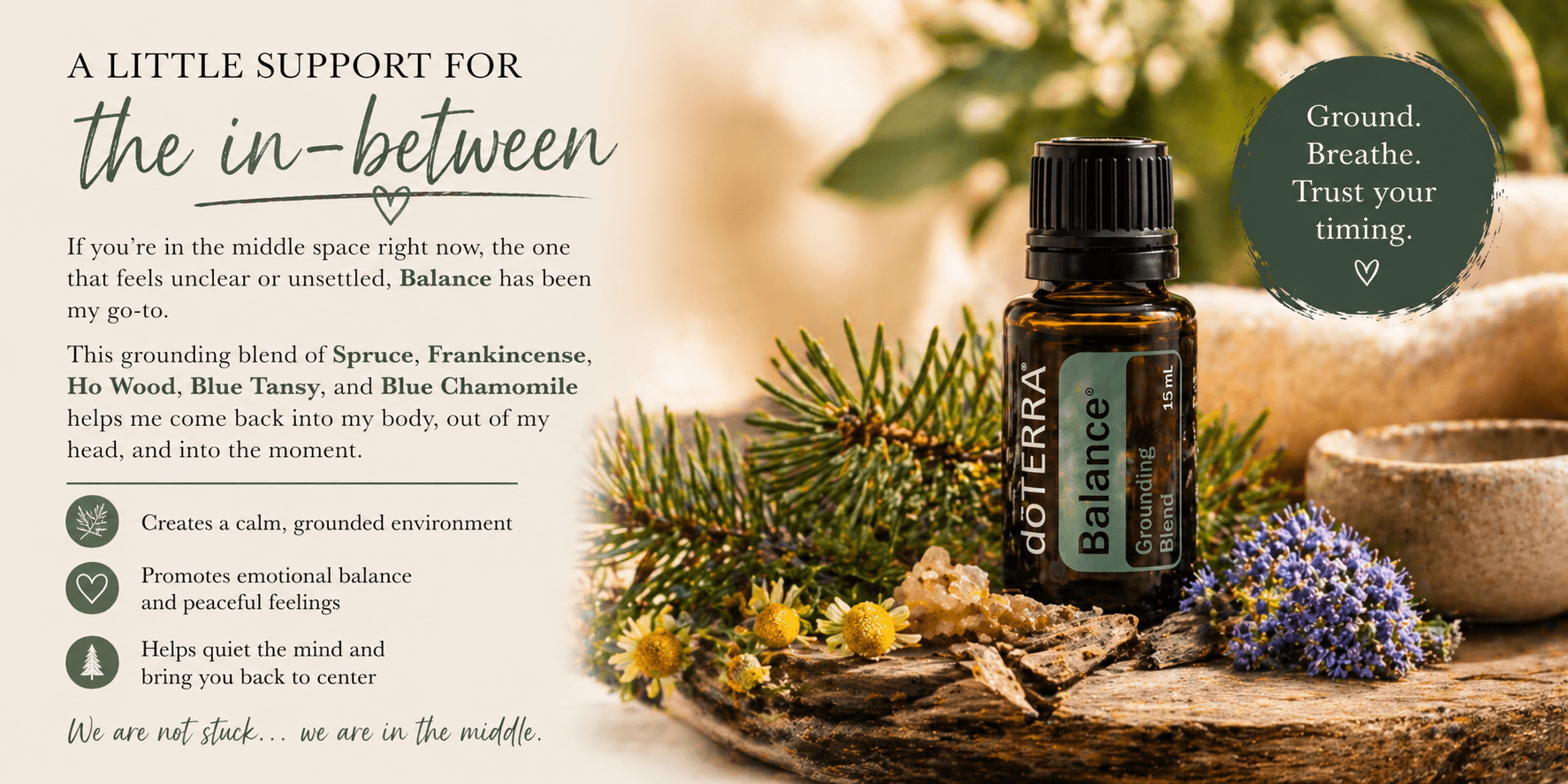Herbal tincture bottle on moss with pinecones and lavender beside text about support for the in-between