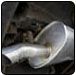 Exhaust pipe, angled stainless steel, mounted on a vehicle.  |  Quality Car & Truck Repair Inc