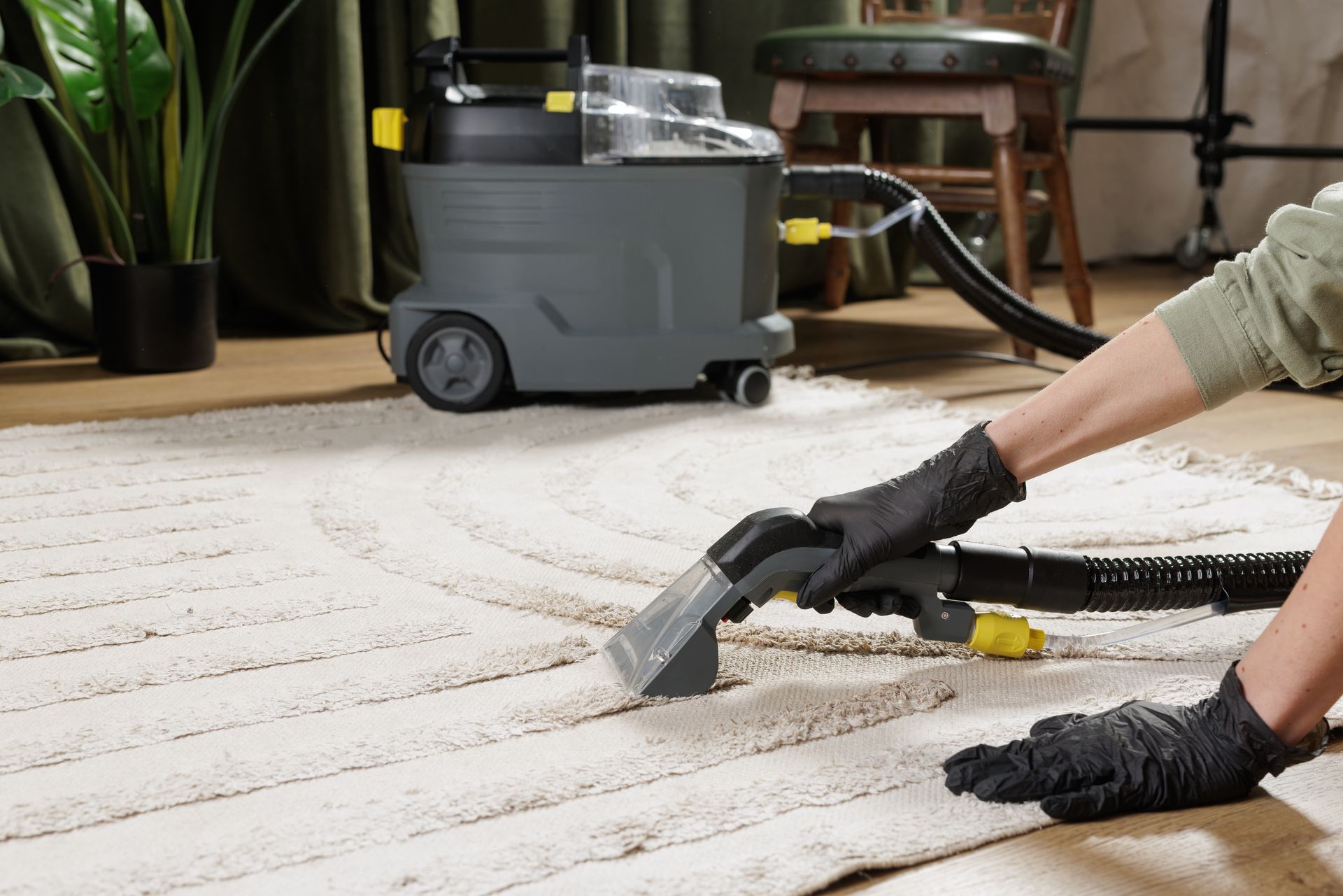 Person vacuuming a light rug with a gray carpet extractor and black hose indoors