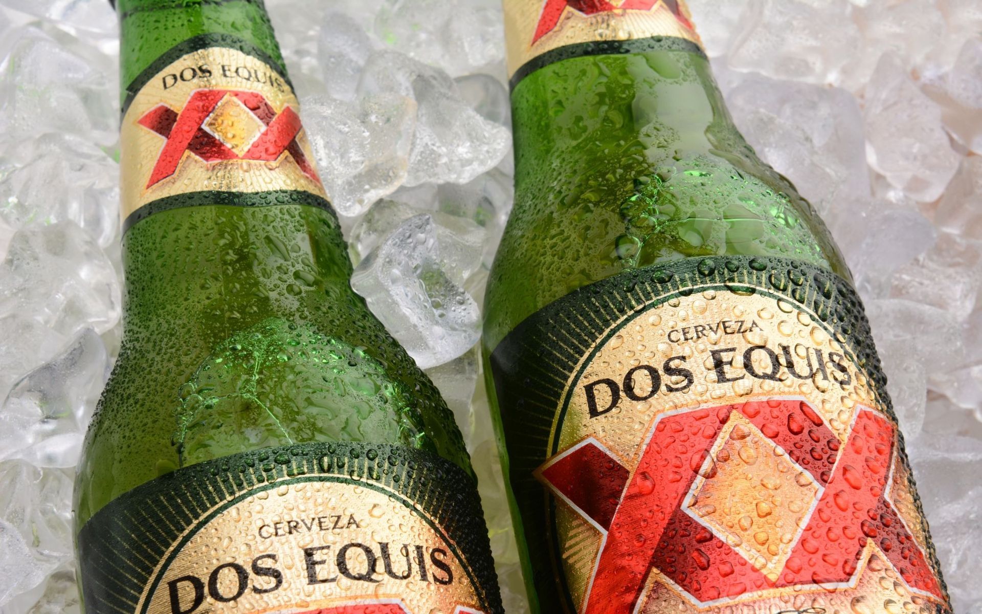 Two Dos Equis beer bottles on ice, showing green glass and red X labels.